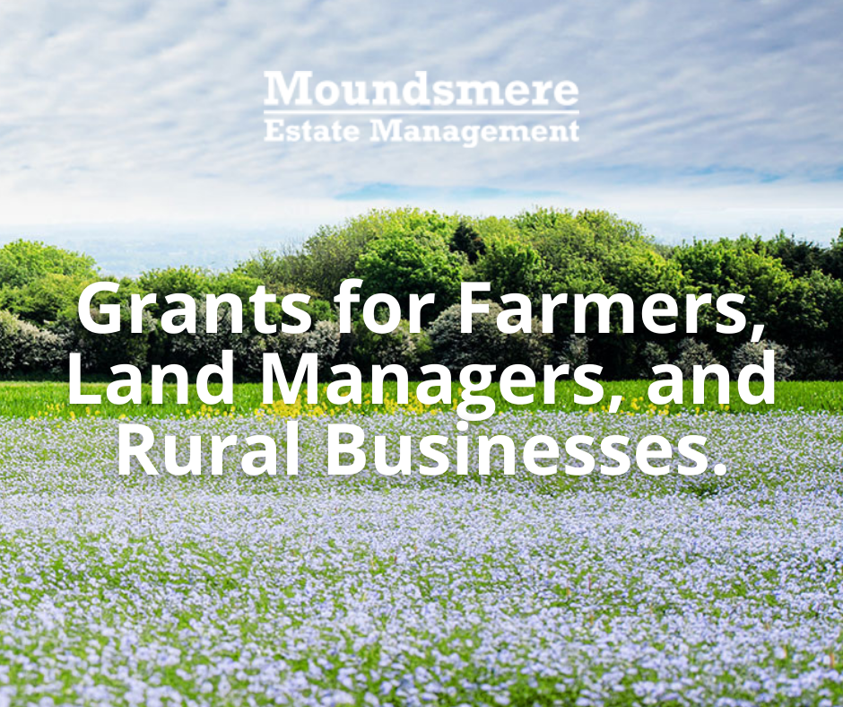 UK Grants for Farmers, Land Managers and Rural Businesses