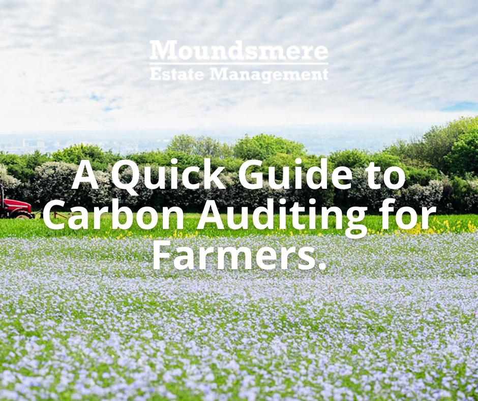 A Quick Guide to Carbon Auditing for Farmers