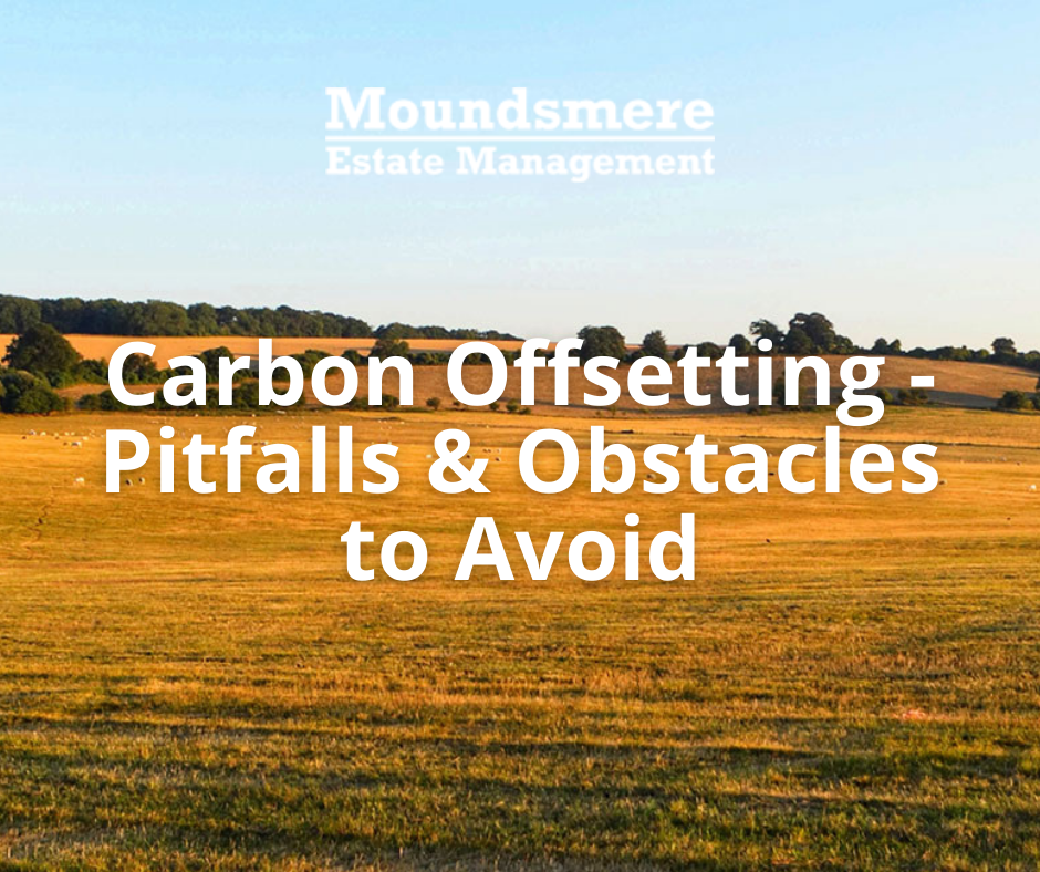 Carbon Offsetting - Pitfalls & Obstacles to Avoid