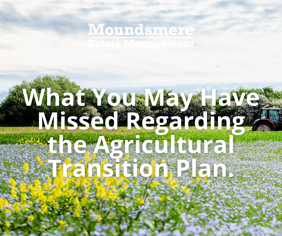 What You May Have Missed Regarding the Agricultural Transition Plan