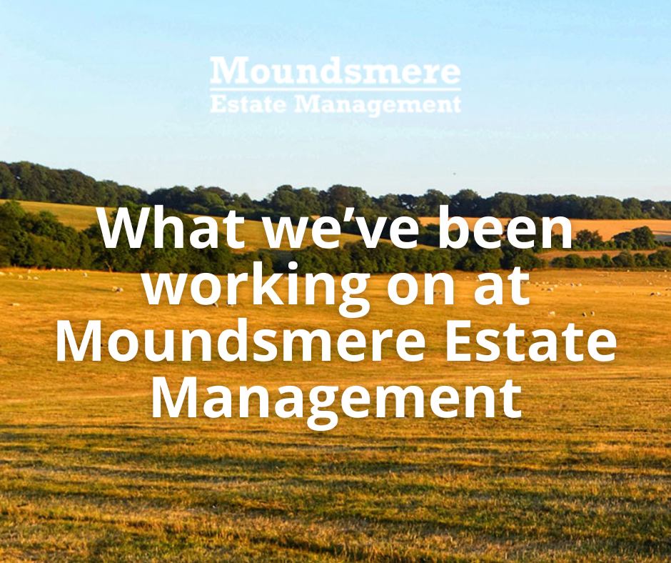 What we’ve been working on at Moundsmere Estate Management